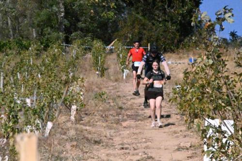 2026 AlenTour Des Crus 15km