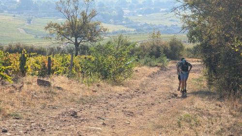 AuTour Des Crus 2026