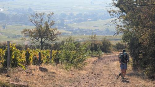 AuTour Des Crus 2026