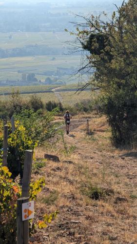 AuTour Des Crus 2026