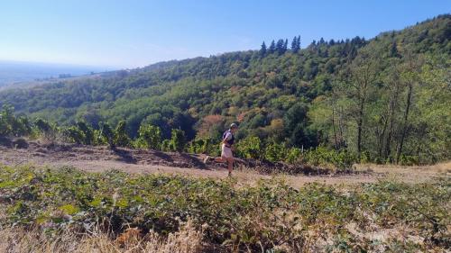 MaraTour Des Crus 2026