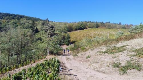 MaraTour Des Crus 2026