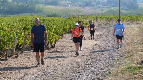ReTour Des Crus 2026