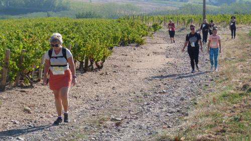 ReTour Des Crus 2026