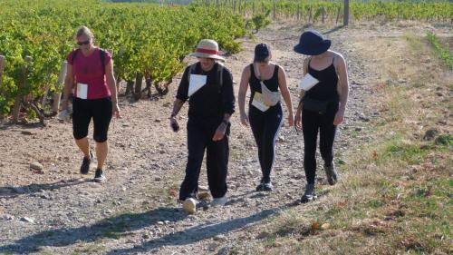 ReTour Des Crus 2026
