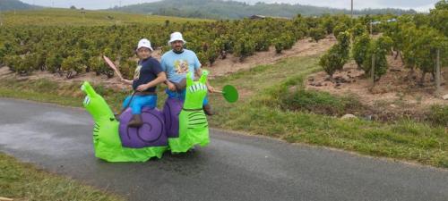 Tour Des Crus Beaujolais - 22/09/2024