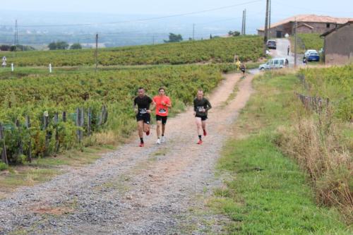 AlenTour Des Crus - Trail 12km - 22/09/2024