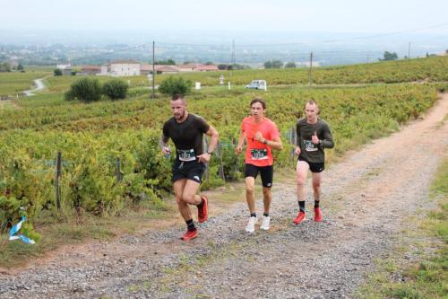 AlenTour Des Crus - Trail 12km - 22/09/2024