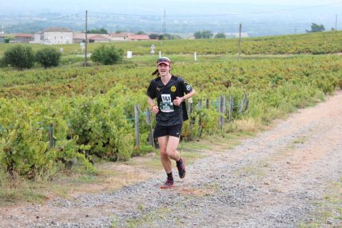 AlenTour Des Crus - Trail 12km - 22/09/2024
