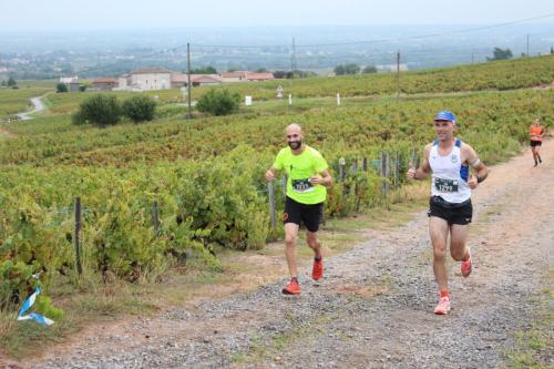 AlenTour Des Crus - Trail 12km - 22/09/2024