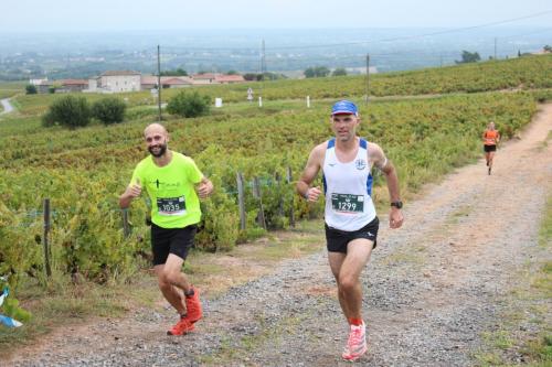 AlenTour Des Crus - Trail 12km - 22/09/2024