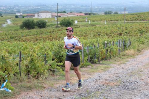 AlenTour Des Crus - Trail 12km - 22/09/2024