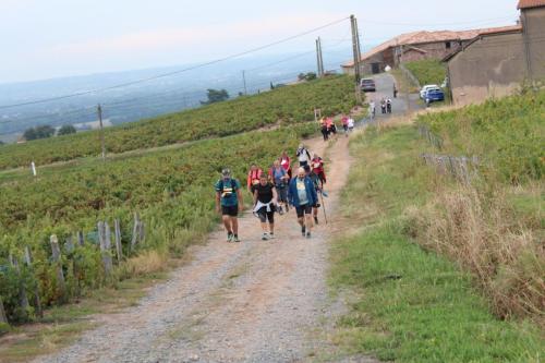 ReTour Des Crus Marche 12km - 22/09/2024