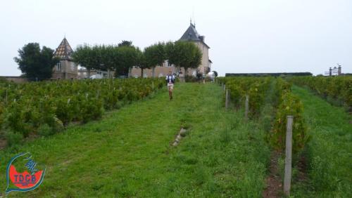 MaraTour Des Crus - Trail 42km - 28/09/2025