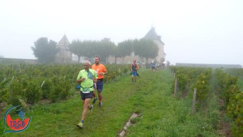 AlenTour Des Crus - Trail 13km - 28/09/2025