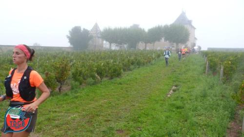 AlenTour Des Crus - Trail 13km - 28/09/2025