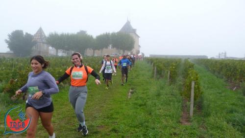 AlenTour Des Crus - Trail 13km - 28/09/2025