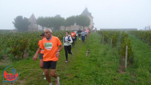 AlenTour Des Crus - Trail 13km - 28/09/2025