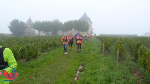 AlenTour Des Crus - Trail 13km - 28/09/2025