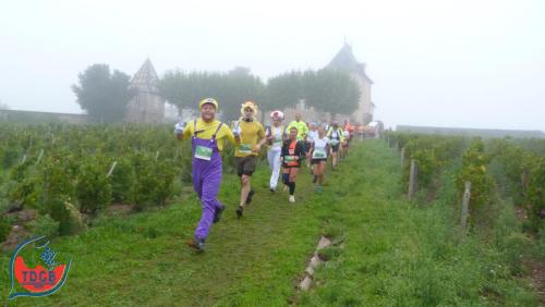 AlenTour Des Crus - Trail 13km - 28/09/2025
