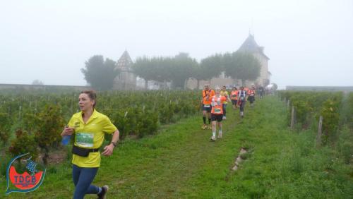 AlenTour Des Crus - Trail 13km - 28/09/2025