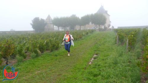 AlenTour Des Crus - Trail 13km - 28/09/2025
