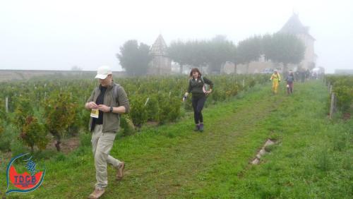 ReTour Des Crus - Marche 13km - 28/09/2025