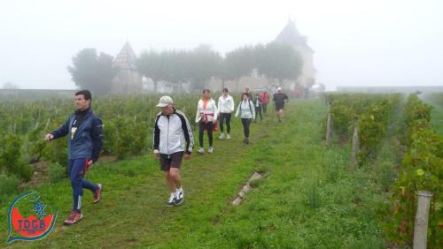 ReTour Des Crus - Marche 13km - 28/09/2025