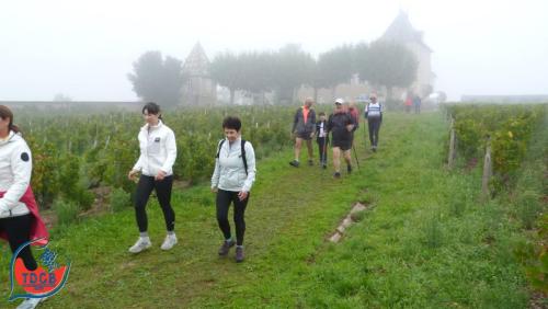 ReTour Des Crus - Marche 13km - 28/09/2025