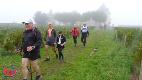 ReTour Des Crus - Marche 13km - 28/09/2025