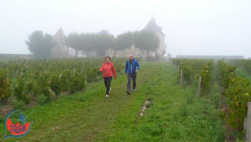 ReTour Des Crus - Marche 13km - 28/09/2025