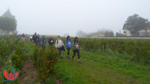 ReTour Des Crus - Marche 13km - 28/09/2025