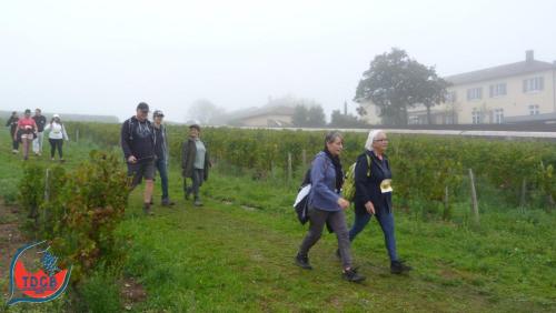 ReTour Des Crus - Marche 13km - 28/09/2025