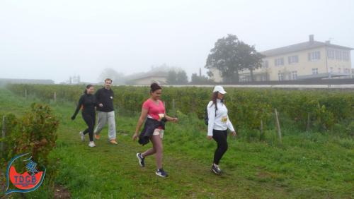 ReTour Des Crus - Marche 13km - 28/09/2025