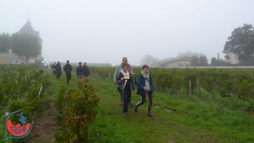ReTour Des Crus - Marche 13km - 28/09/2025