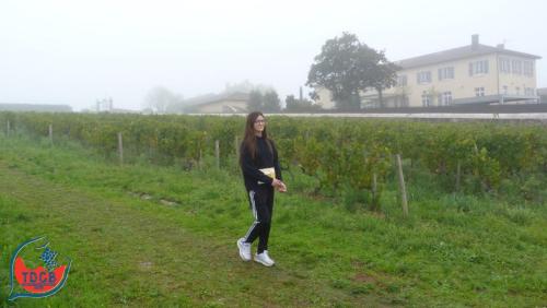 ReTour Des Crus - Marche 13km - 28/09/2025