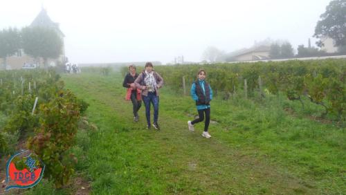 ReTour Des Crus - Marche 13km - 28/09/2025