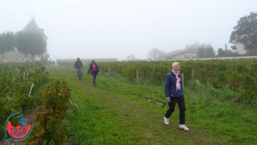 ReTour Des Crus - Marche 13km - 28/09/2025