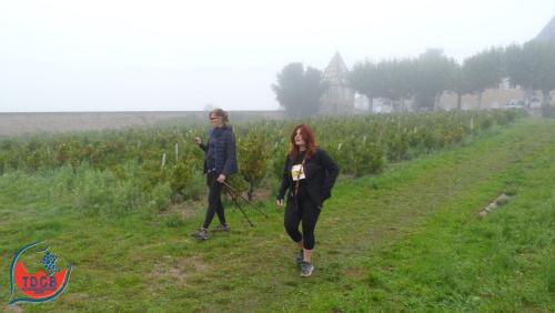 ReTour Des Crus - Marche 13km - 28/09/2025