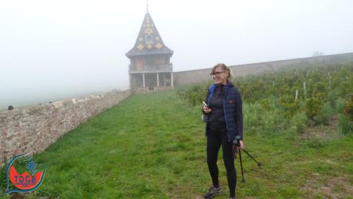 ReTour Des Crus - Marche 13km - 28/09/2025