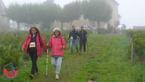 ReTour Des Crus - Marche 13km - 28/09/2025