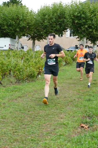 AlenTour Des Crus - Trail 12km - 22/09/2024