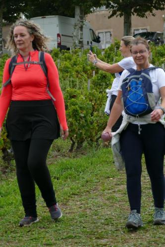 ReTour Des Crus Marche 12km - 22/09/2024
