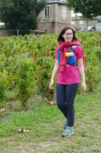 ReTour Des Crus Marche 12km - 22/09/2024