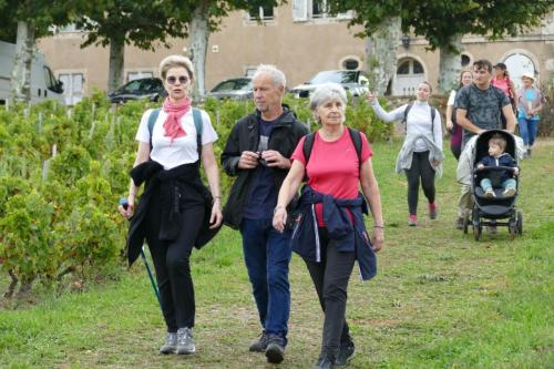 ReTour Des Crus Marche 12km - 22/09/2024