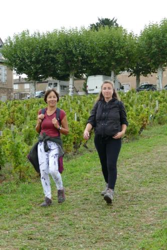 ReTour Des Crus Marche 12km - 22/09/2024