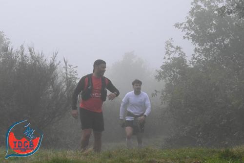 Autour Des Crus - Trail 25km solo et duo - 28/09/2025