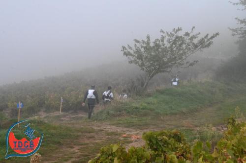 Autour Des Crus - Trail 25km solo et duo - 28/09/2025