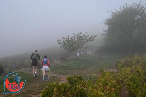 Autour Des Crus - Trail 25km solo et duo - 28/09/2025