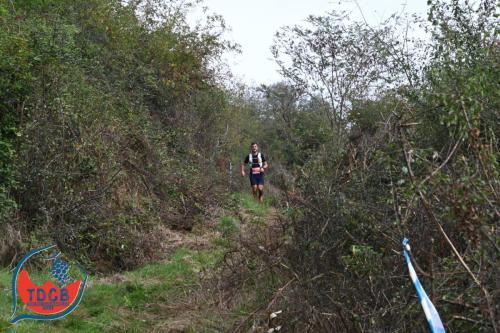 MaraTour Des Crus - Trail 42km - 28/09/2025